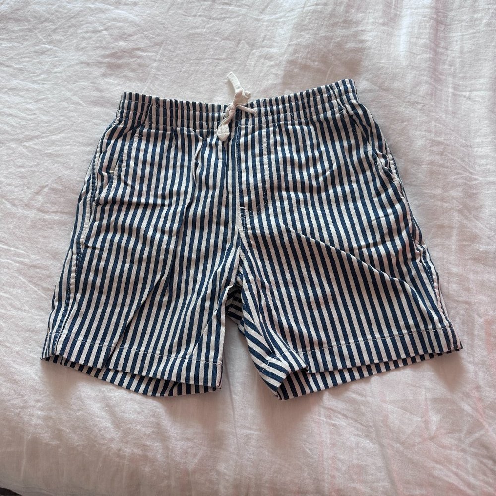 Blue and White Striped J. Crew Mens Shorts